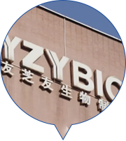 必发·bifa(中国)唯一官方网站